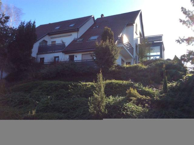 Studio location à Niederbronn-les-Bains, Collectivité européenne d'Alsace