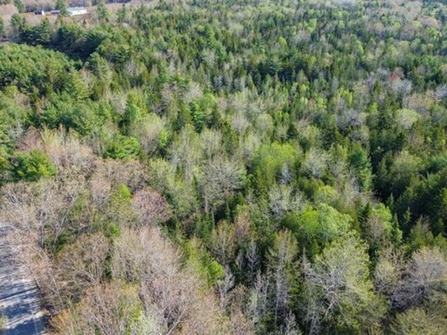 Land for sale in Sullivan, Maine