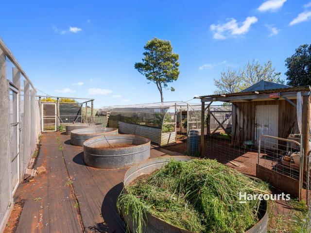 House for sale in Kindred, Tasmania