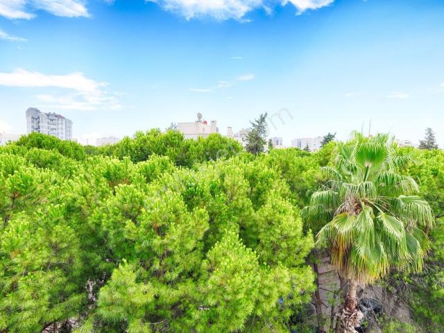 Muratpaşa, Antalya içerisinde kiralık mülk