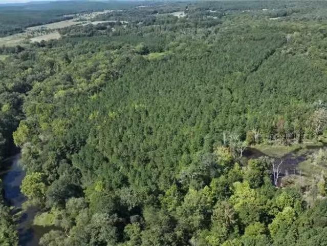 House for rent in Ark