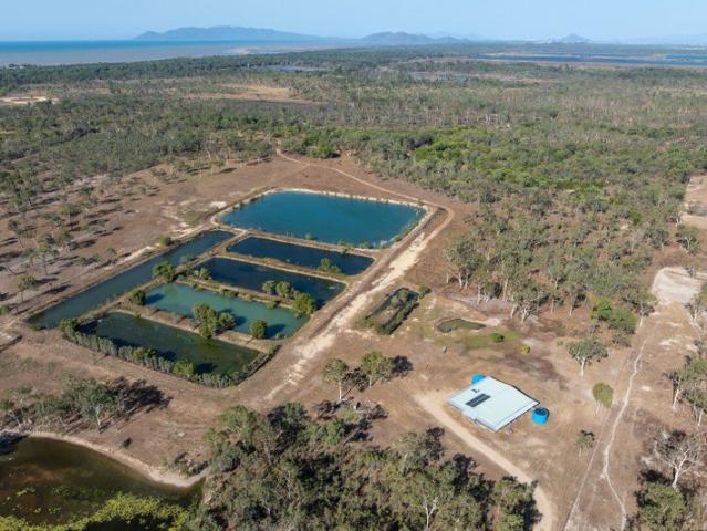 Cottage for sale in Yabulu, Queensland