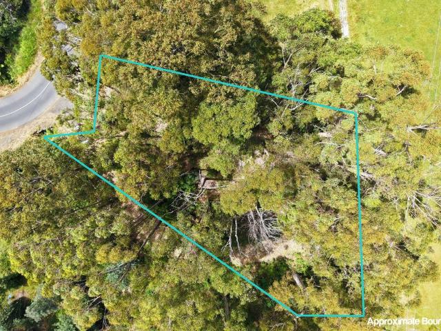 Land for sale in Brooks Bay, Tasmania