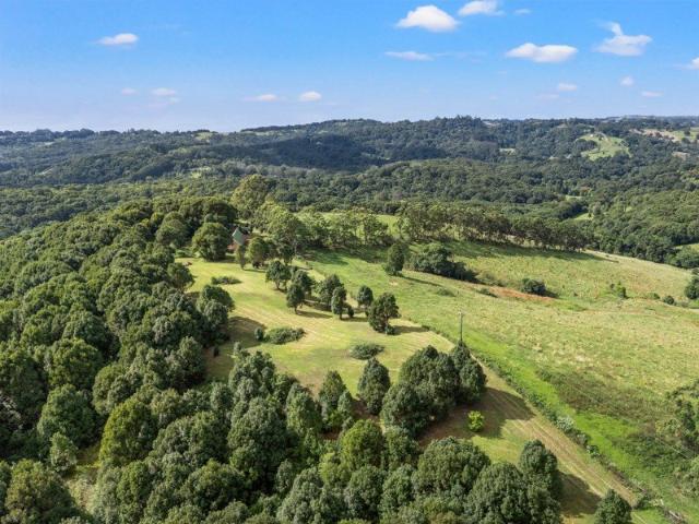 Land for sale in Federal, New South Wales