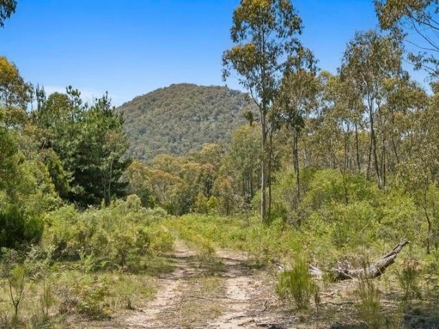 Land for sale in Wee Jasper, New South Wales