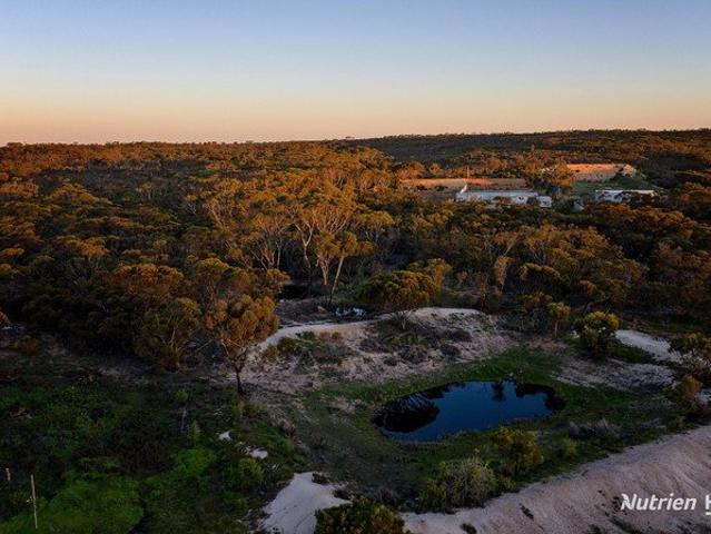 House for sale in Ravensthorpe, Western Australia