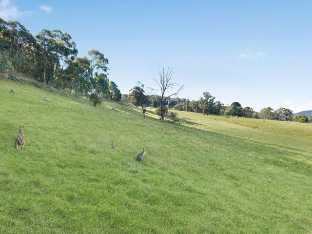 Cottage for sale in South Bowenfels, New South Wales