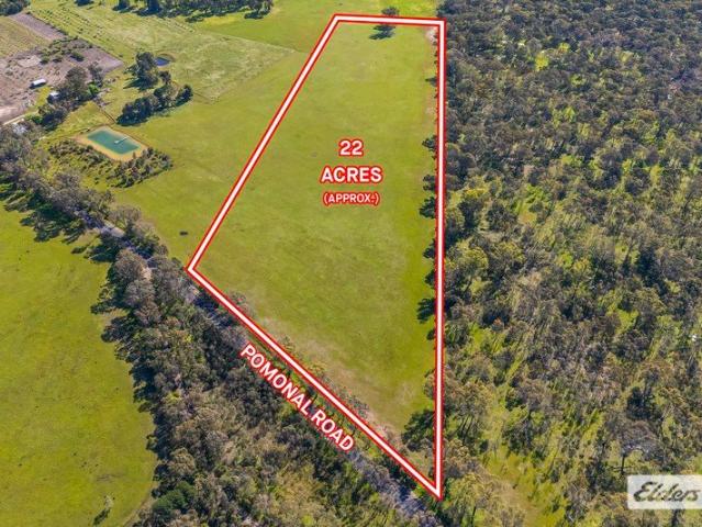 Land for sale in Pomonal