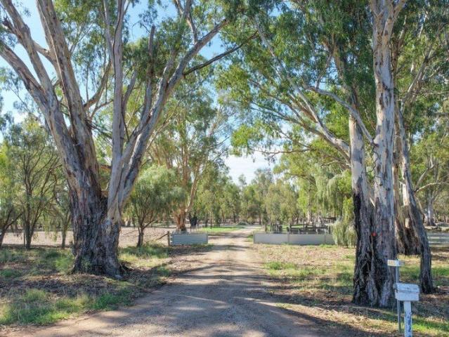 Cottage for sale in Barham, New South Wales