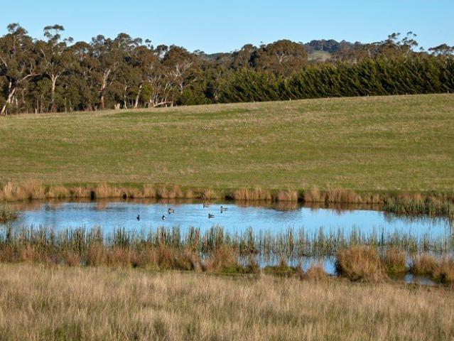 Cottage for sale in Newham, Victoria