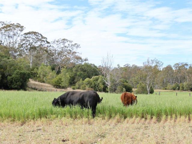 Cottage for sale in Highgrove, Toowoomba Regional
