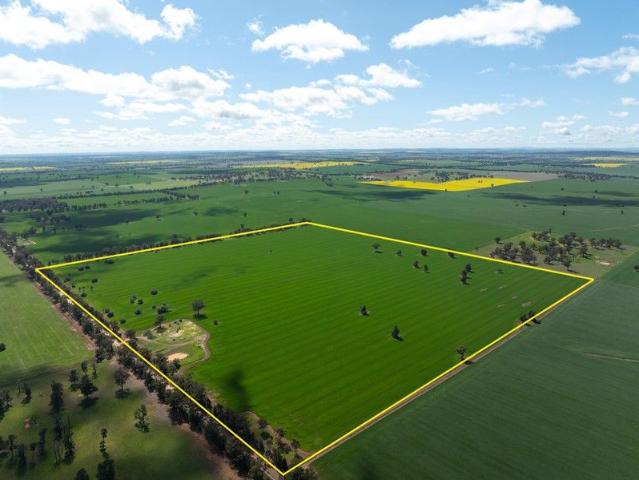 Cottage for sale in Belfrayden, New South Wales