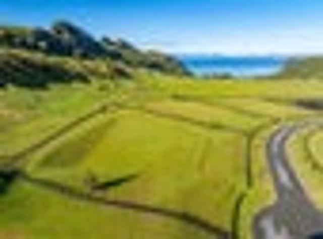 Land for sale in Waikato