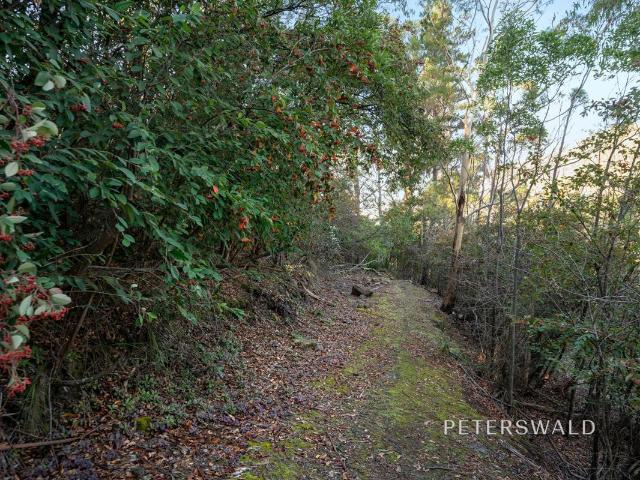 Land for sale in South Hobart