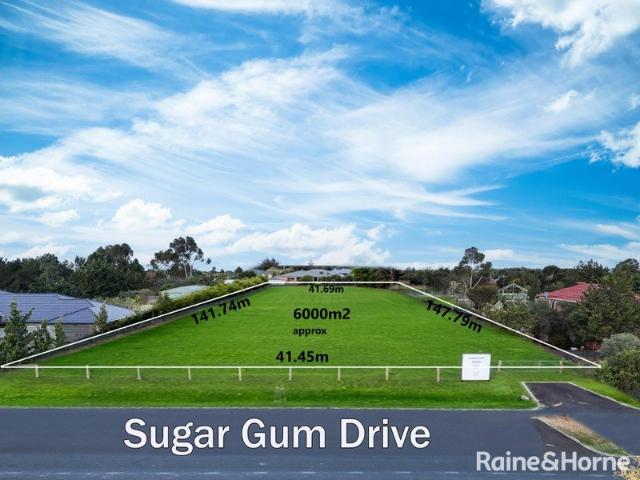 Land for sale in Camerons Creek, Victoria