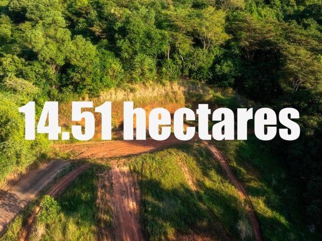 Land for sale in Redlynch, Queensland