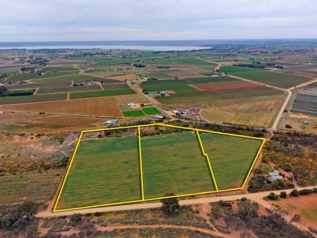 Land for sale in Loveday, Cobdogla