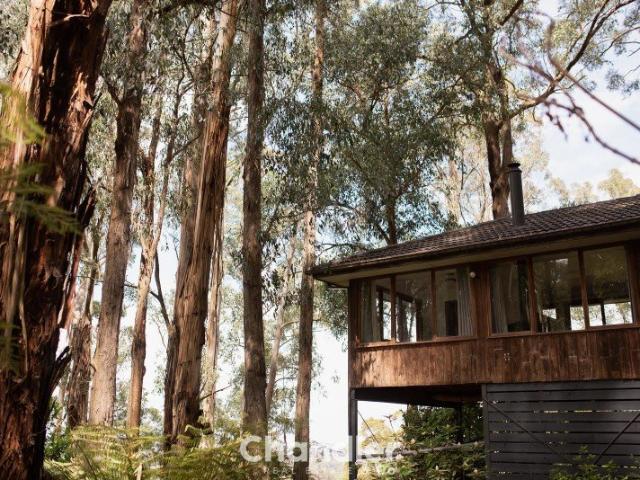 House for sale in Camerons Creek, Victoria