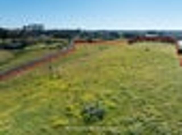 Land for sale in Waikato