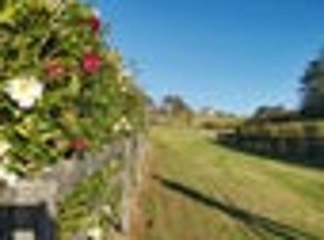 Land for sale in Kawau Island, Oroua County