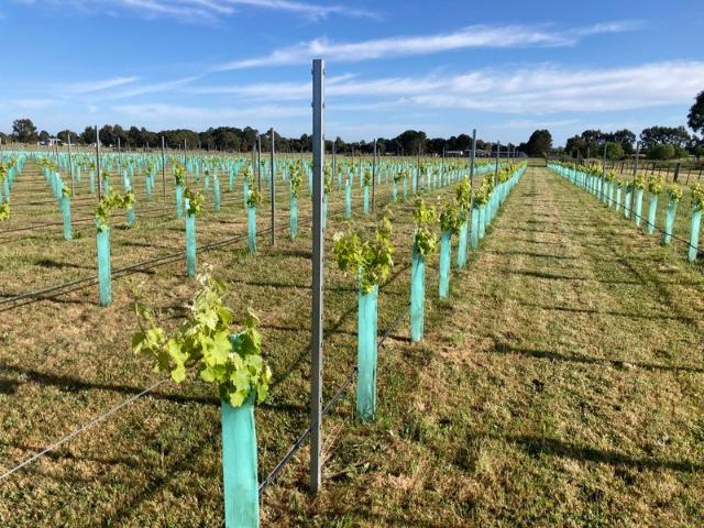 Land for sale in Kyneton, Shire of Macedon Ranges