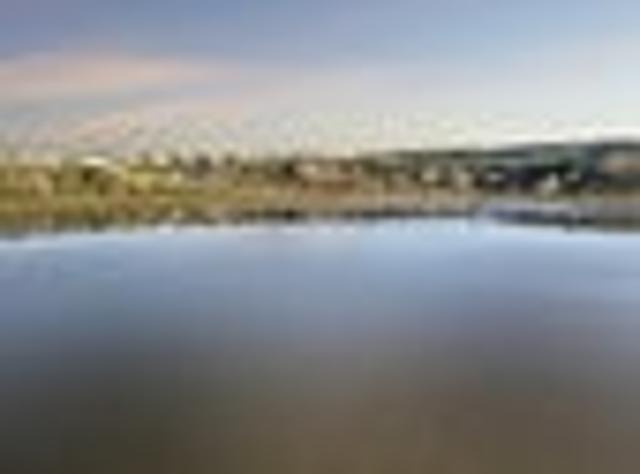 Land for sale in Whakamarama, Bay Of Plenty