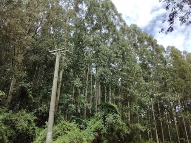 Sítio e chácara venda em Região Geográfica Imediata de Bento Gonçalves, Carlos Barbosa