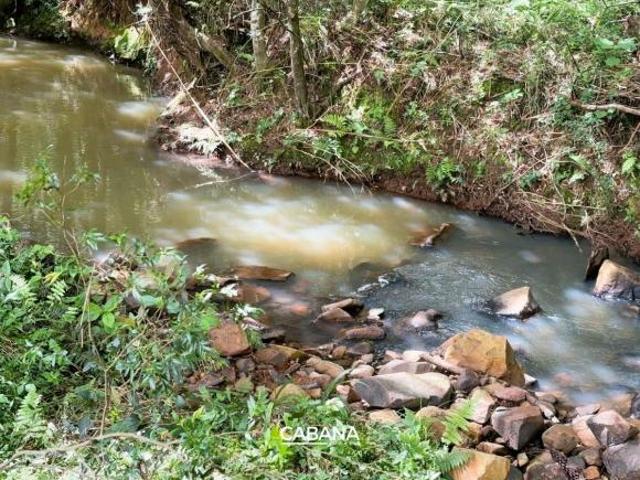 Sítio e chácara venda em Região Geográfica Imediata de Caxias do Sul, Ipê