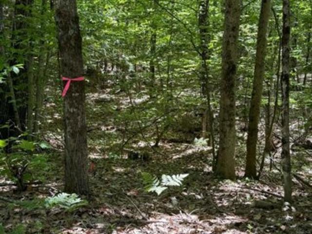 Land for sale in Leeds, Maine