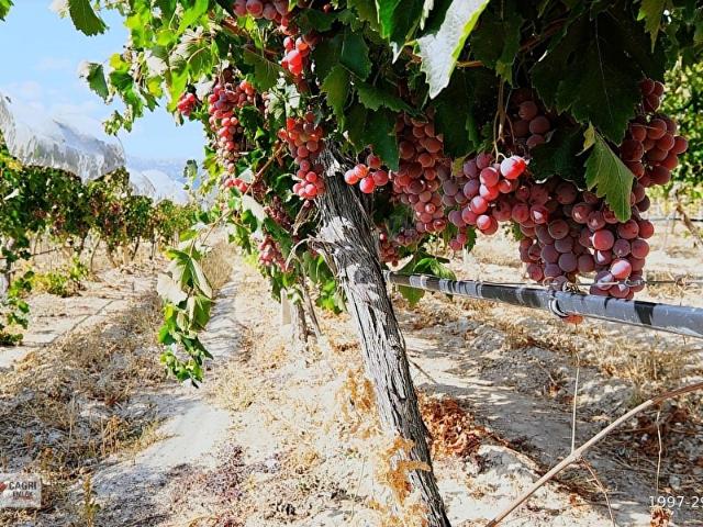 Korkuteli, Antalya içerisinde satılık mülk