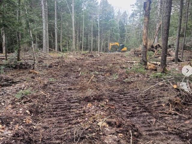 Land for sale in Waldo, Maine