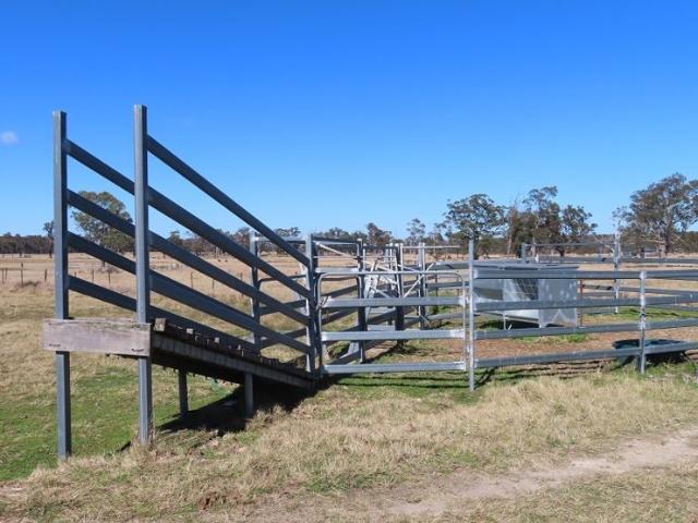 Property for sale in The Summit, Queensland