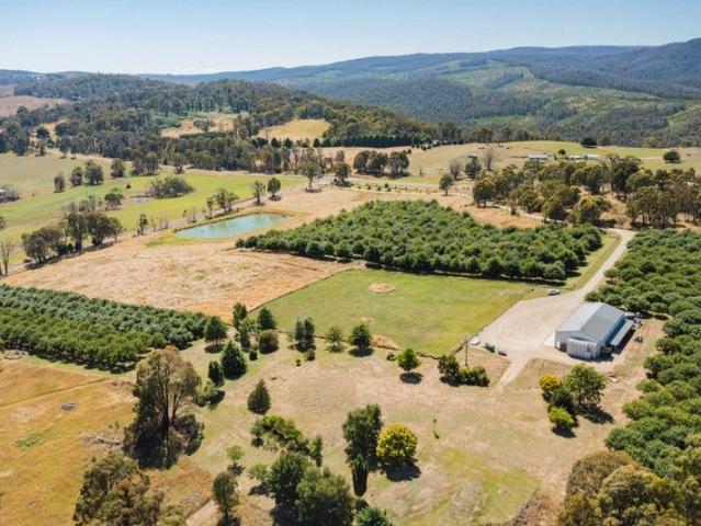 Cottage for sale in New South Wales