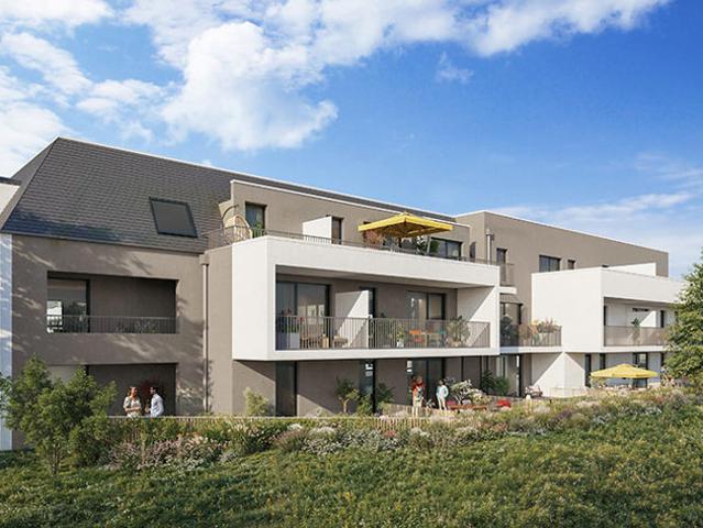 Maison vente à Mulhouse, Saint-louis