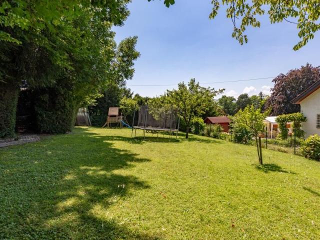 Einfamilienhaus kaufen
