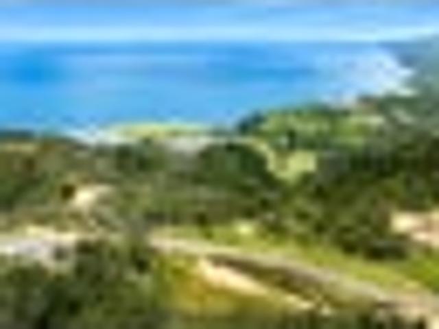 Land for sale in Tapu, Waikato