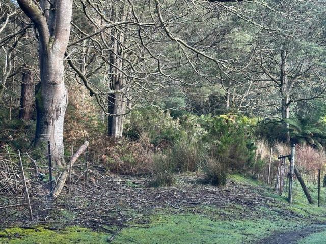 Land for sale in Franklin, Huon Valley