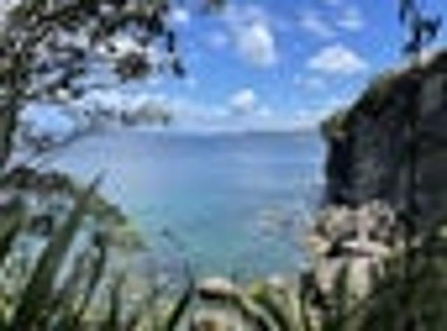 Land for sale in Thames-Coromandel District, Waikato
