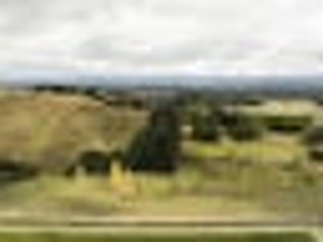 Land for sale in Cape Palliser, Wellington