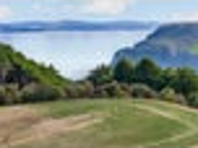 Land for sale in Waikato