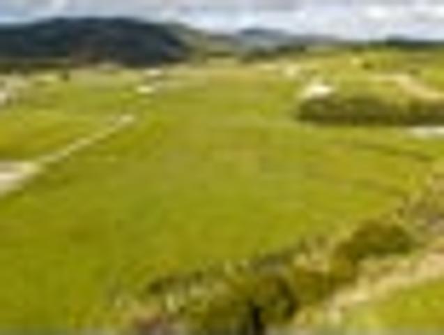 Land for sale in Northland