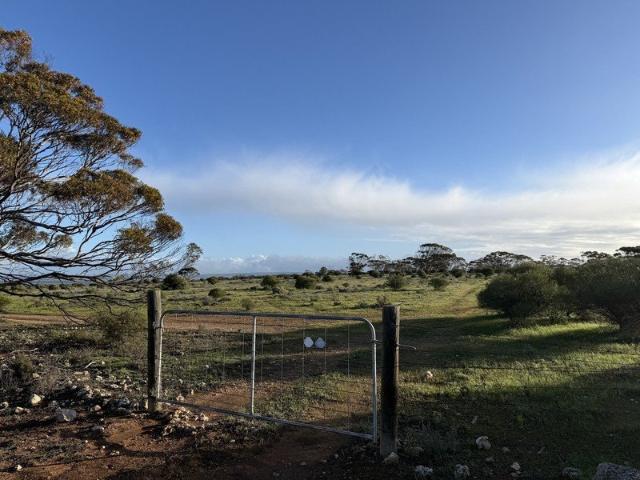 Land for sale in Sedan, South Australia