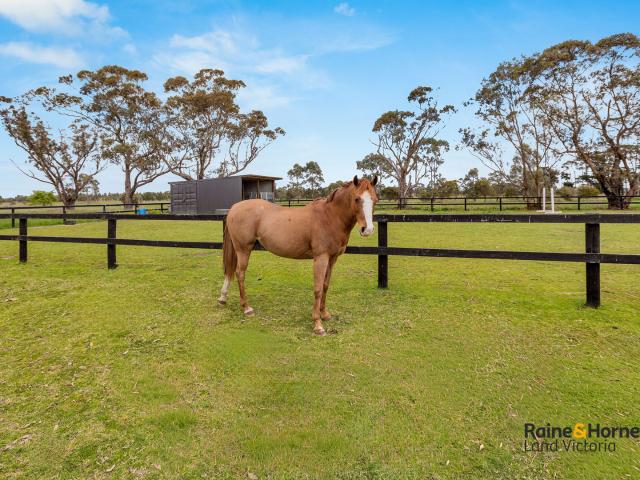 Property for sale in Camerons Creek, Victoria