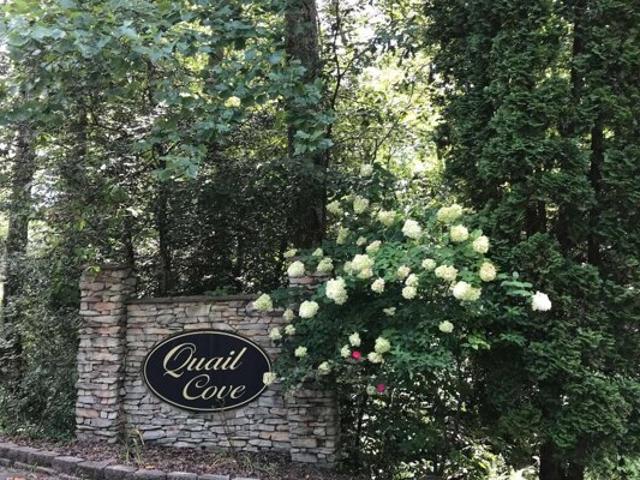Land for sale in Warne