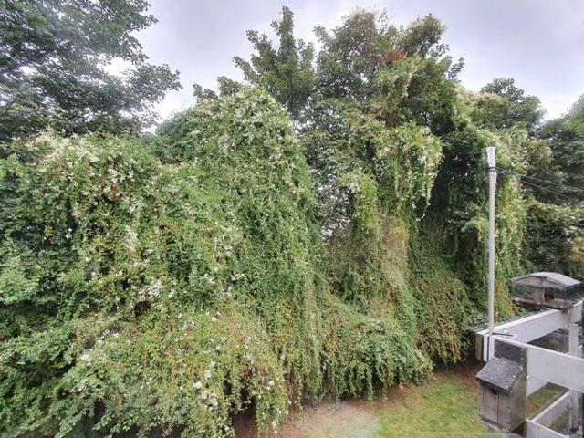 Apartment for rent in Perry Barr, Isle Of Man