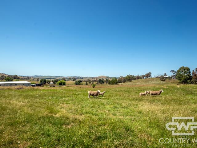 Cottage for sale in Baldersleigh, New South Wales