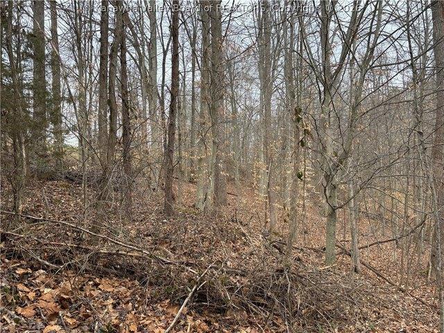 Land for sale in West Virginia