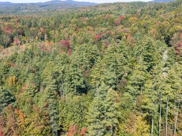 Land for sale in Thompsonburg, Londonderry