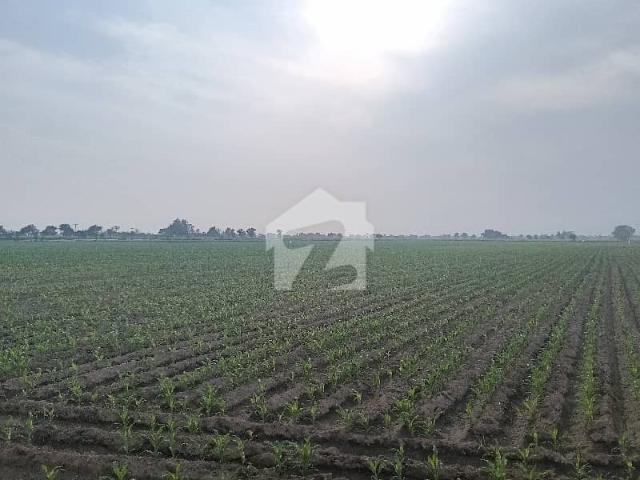 Land for sale in Multan, Islamabad Capital Territory