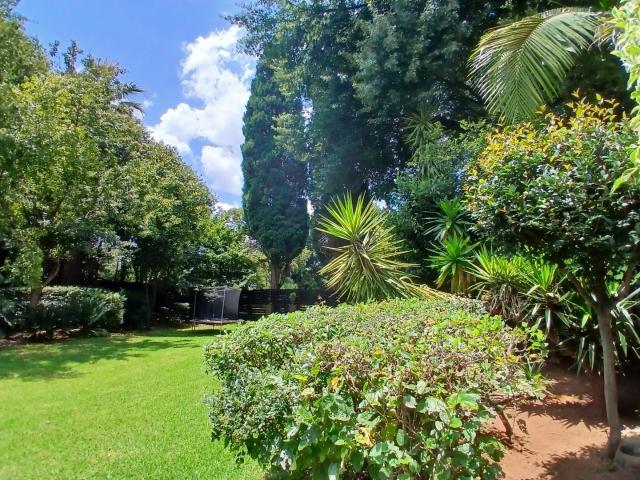 House for rent in Newtown, Johannesburg